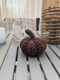 Cozy Pumpkin- Dark Brown | Mini